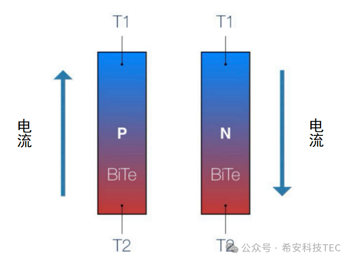 Wie funktioniert TEC?